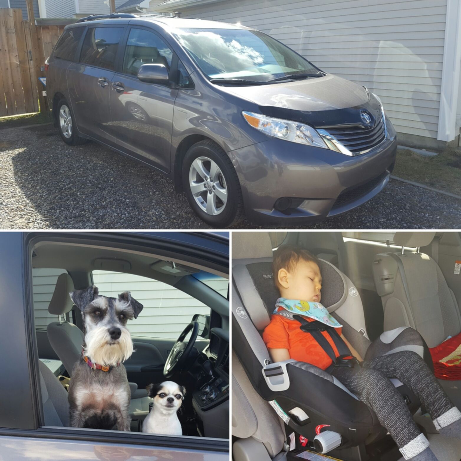 Our new van