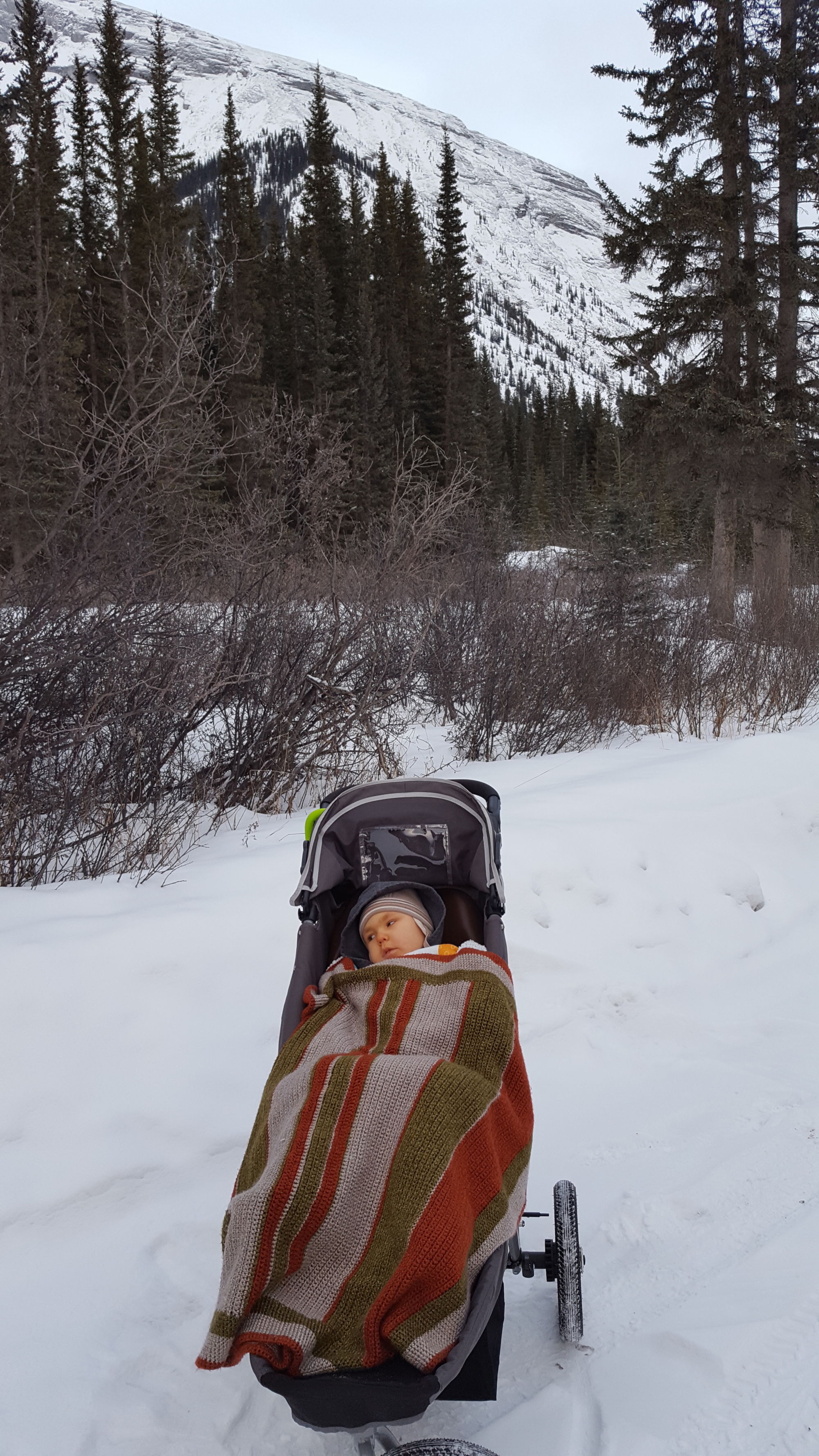 A cold walk in the mountains